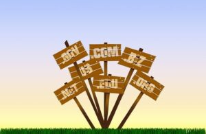 .gov .com .org signs - blog post what to use for our municipal website