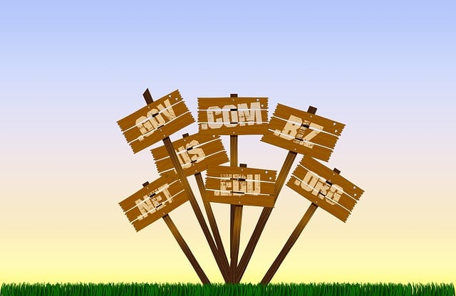 .gov .com .org signs - blog post what to use for our municipal website